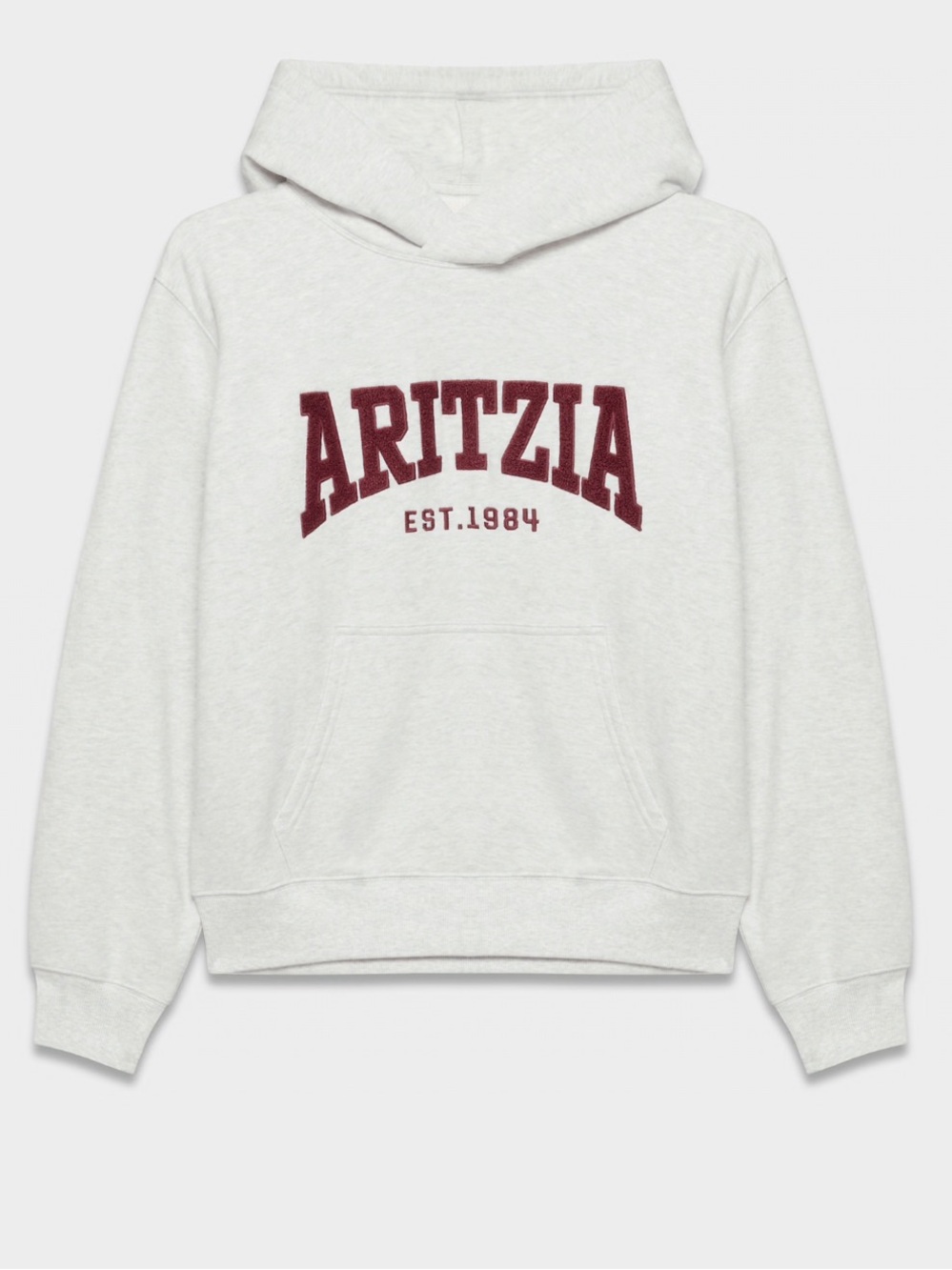Aritzia Cozy Sweatfleece Perfect Hoodie - Picture 1 of 6